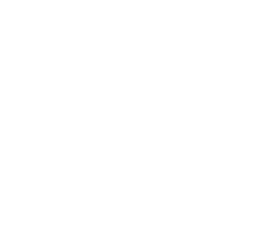 White stencil TZ icon